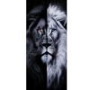 56 Pack de 2 stickers Lion classe