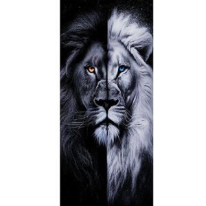 Pack de 2 stickers Lion classe