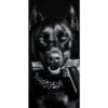 789 Pack de 2 Stickers Chien