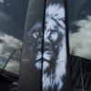Screenshot 2026-08-15 123813 Pack de 2 stickers Lion classe